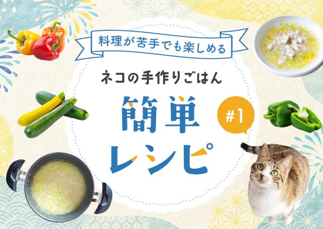 猫の手作りごはんレシピ ちゅるんとおいしく水分補給「まぐろと野菜のかつお風味ジュレ」