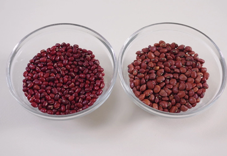 岩手県産 黒小豆 黒ささげ 500gの販売豆の専門店すずや