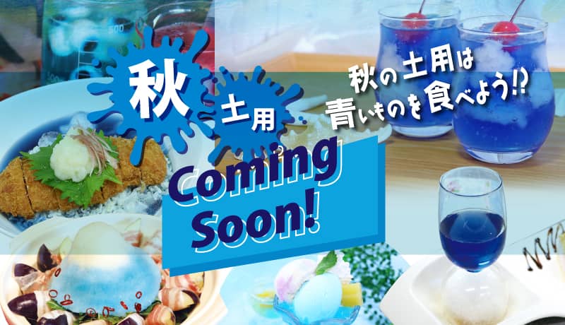 食欲が減退するってホント!? 食卓を爽やかに「青一色」で彩ってみた - 価格.comマガジン