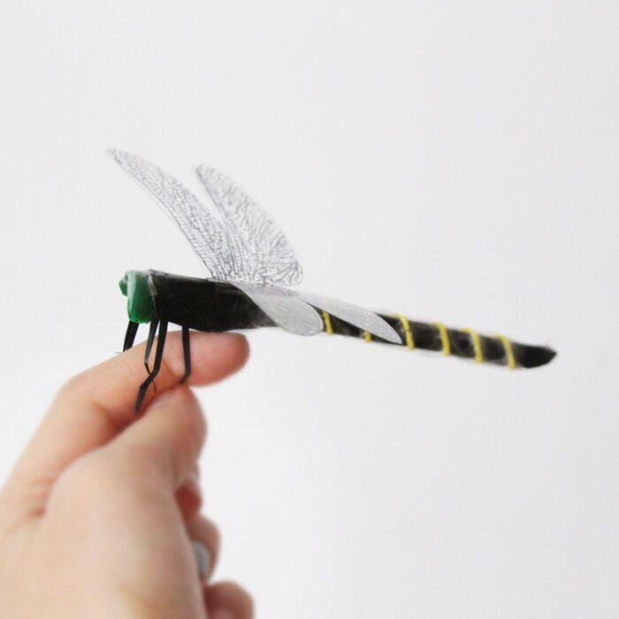 オニヤンマはスズメバチも食べる最強の虫？大きさは最大でどのくらい？ – 生物モラトリアム