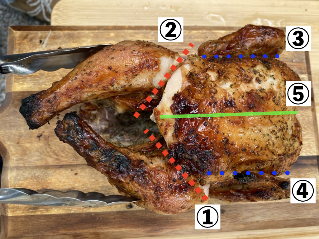 夏っぽく家族で楽しめて,
