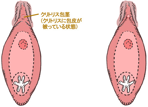 栗の剥き方】簡単に鬼皮・渋皮を剥く裏技！ | ほほえみごはん-冷凍で食を豊かに-|ニチレイフーズ