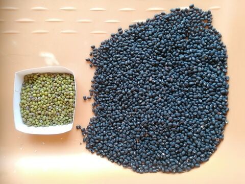 小豆と金時豆の違いは？大角豆でなんと読む