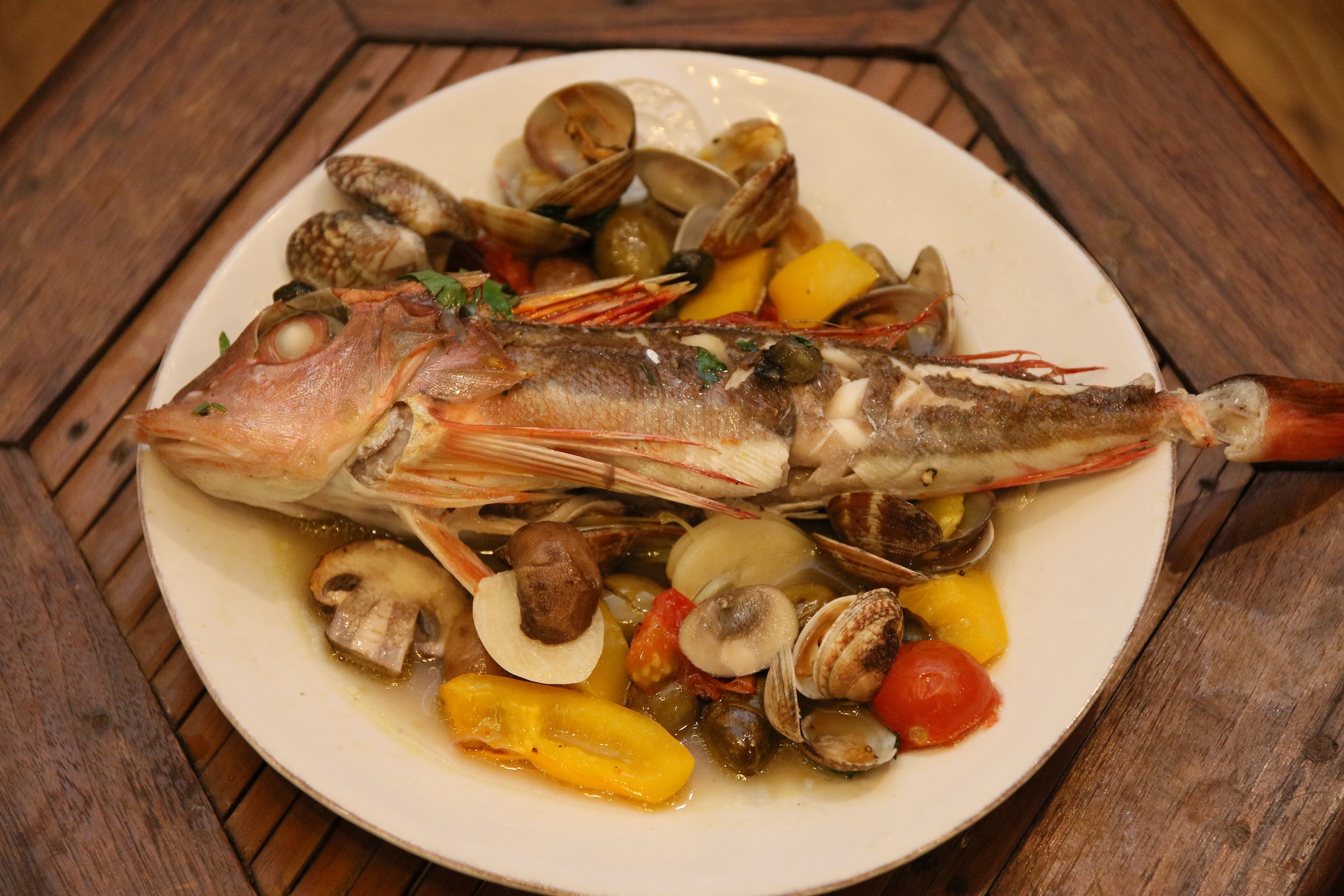 北の国から2022 エゾメバルさかなとムシの研究所