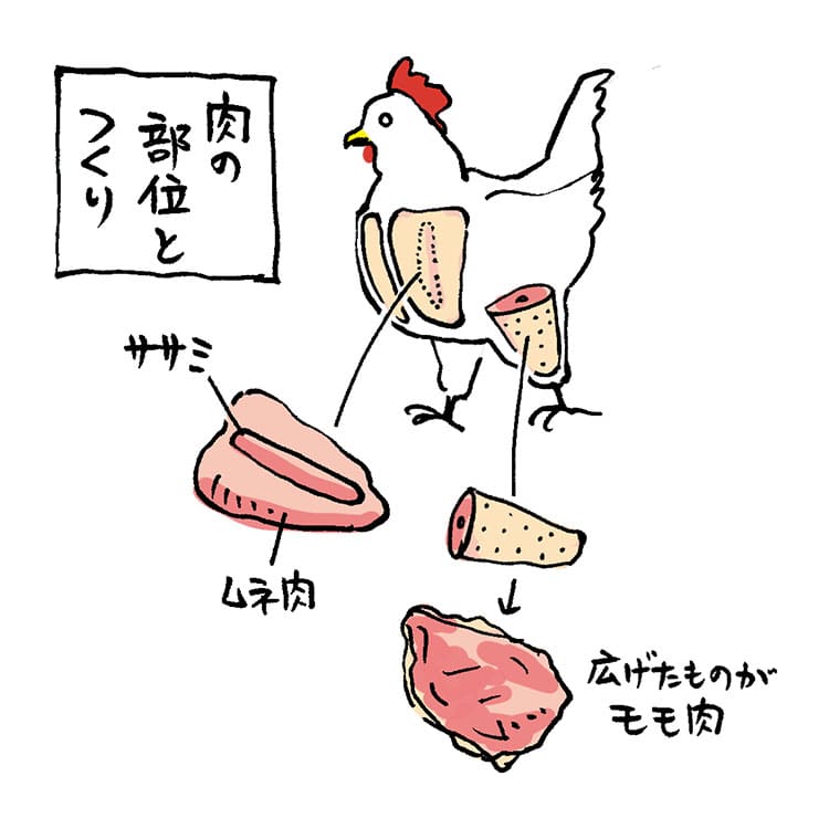 牛肉の部位「ささみ」の肉言葉熟成肉の格之進