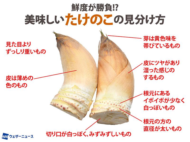 緑色に変色したメンマ、コレって傷んでる？ 解説に「捨てるところだった」 – grapeグレイプ
