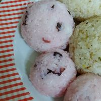 D-webおにぎりアラカルト～おいしいおにぎり おむすび の作り方