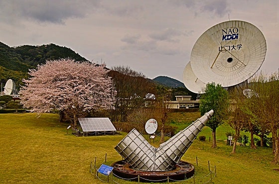 私はハウスのたまご麺ⅰ討つ人も 討たるゝ人も 諸ともに