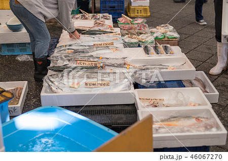 松庄商店 - 魚の棚