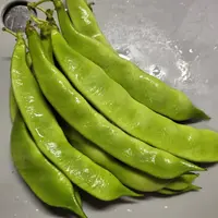 野菜の豆知識「インゲン」 残暑のダメージをはねのける世田谷自然食品