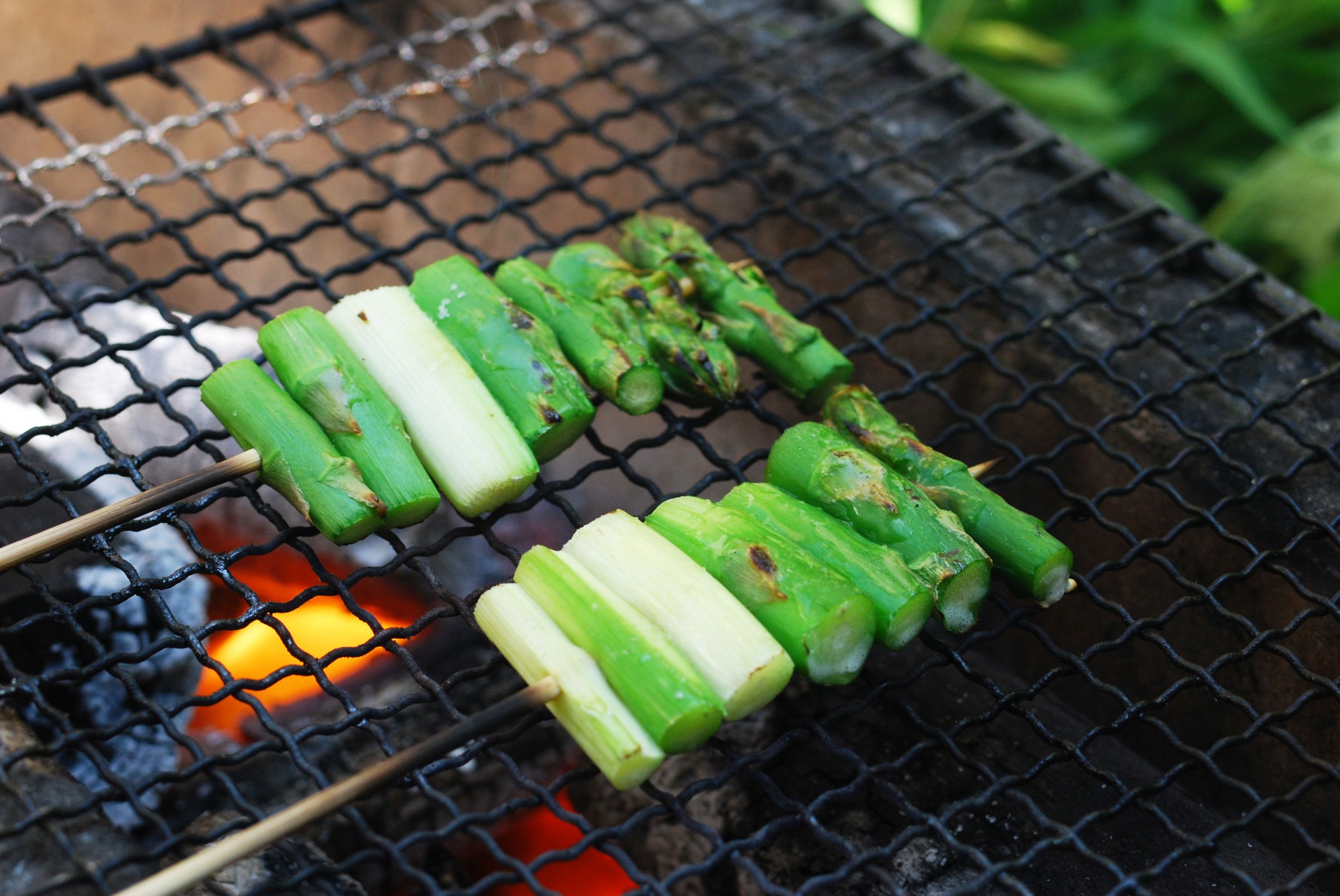 シーズン到来!バーベキューでアスパラを美味しく食べる下処理と焼き方産直プライムブログJA連携!産地直送通販なら産直プライム
