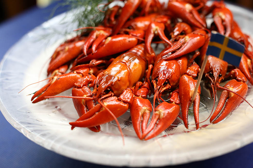 １年で“４万匹”駆除 天然記念物の天敵「赤いアイツ」を炊き込みご飯に！宮城のニュース│tbc NEWS│tbc東北放送2ページ