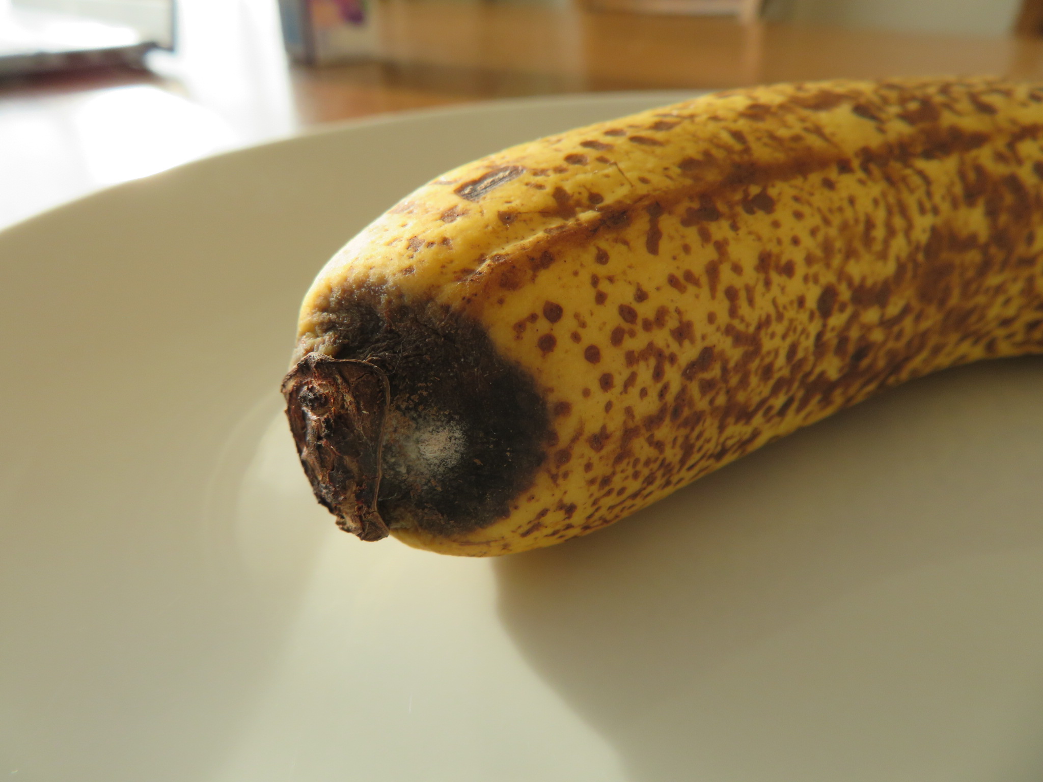 バナナの黒くなった部分は食べても大丈夫？実は甘さのピークかもしれない話