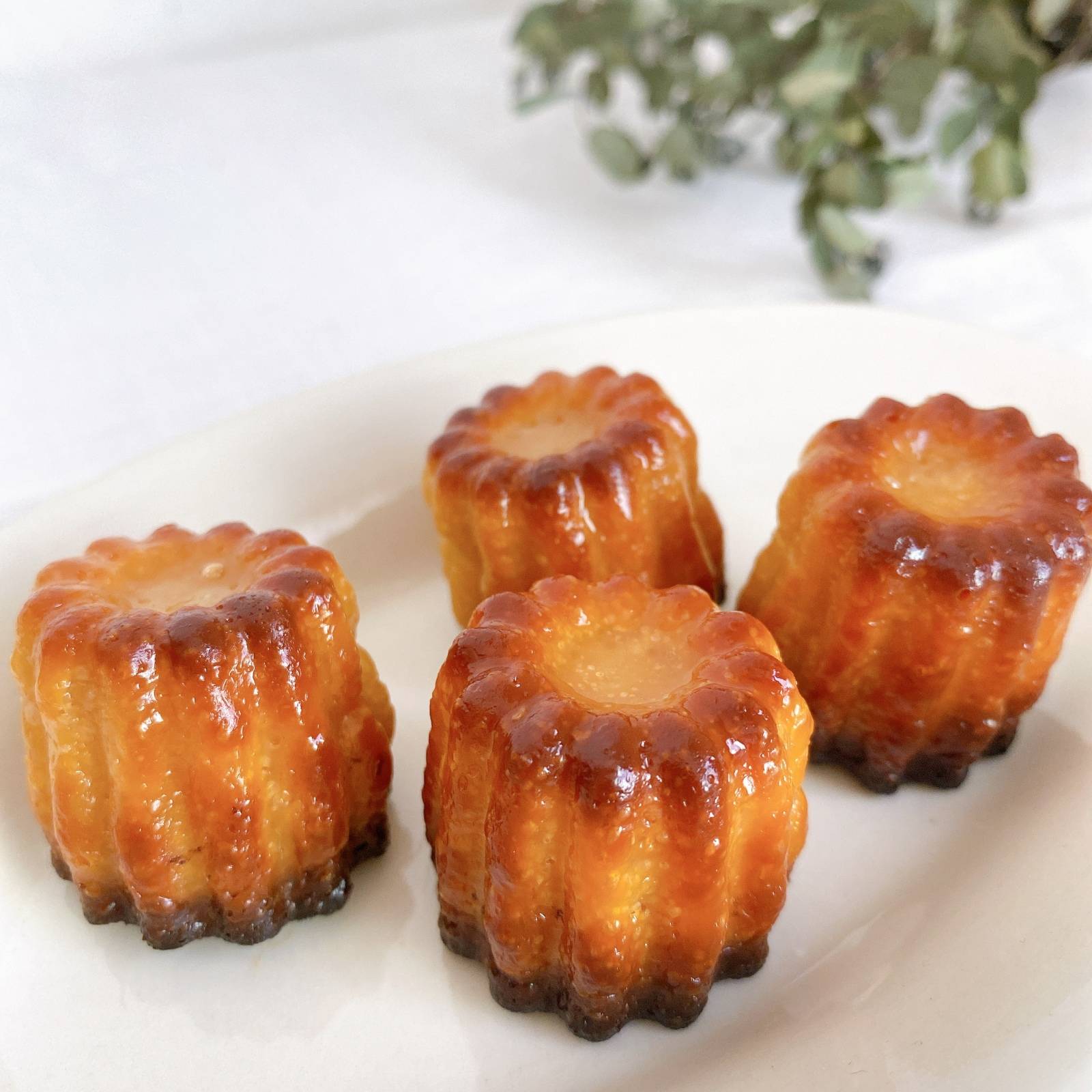 絶対美味しい!基本のカヌレ