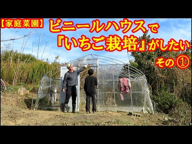 苺 家庭菜園 ビニールハウス 温室の写真素材 - PIXTA