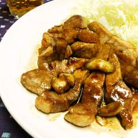 完全保存版 四日市とんてき攻略ガイド!人気店・お取り寄せ・簡単レシピ・周辺観光まで網羅