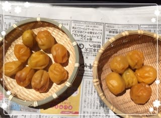 おいしい♪ さしす梅