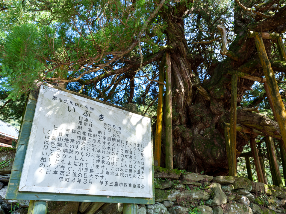 天下一品 四国中央店 四国中央市 ラーメンホットペッパーグルメ