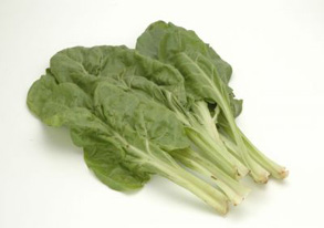 nappa Meaning In Japanese - Mazii