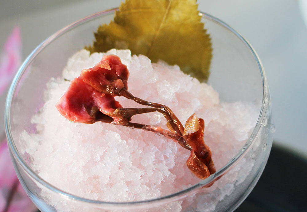 春に作りたい!桜のレアチーズケーキの作り方♪桜の塩漬けがアクセントに簡単SWEETS~簡単に気軽に手作りお菓子生活しませんか