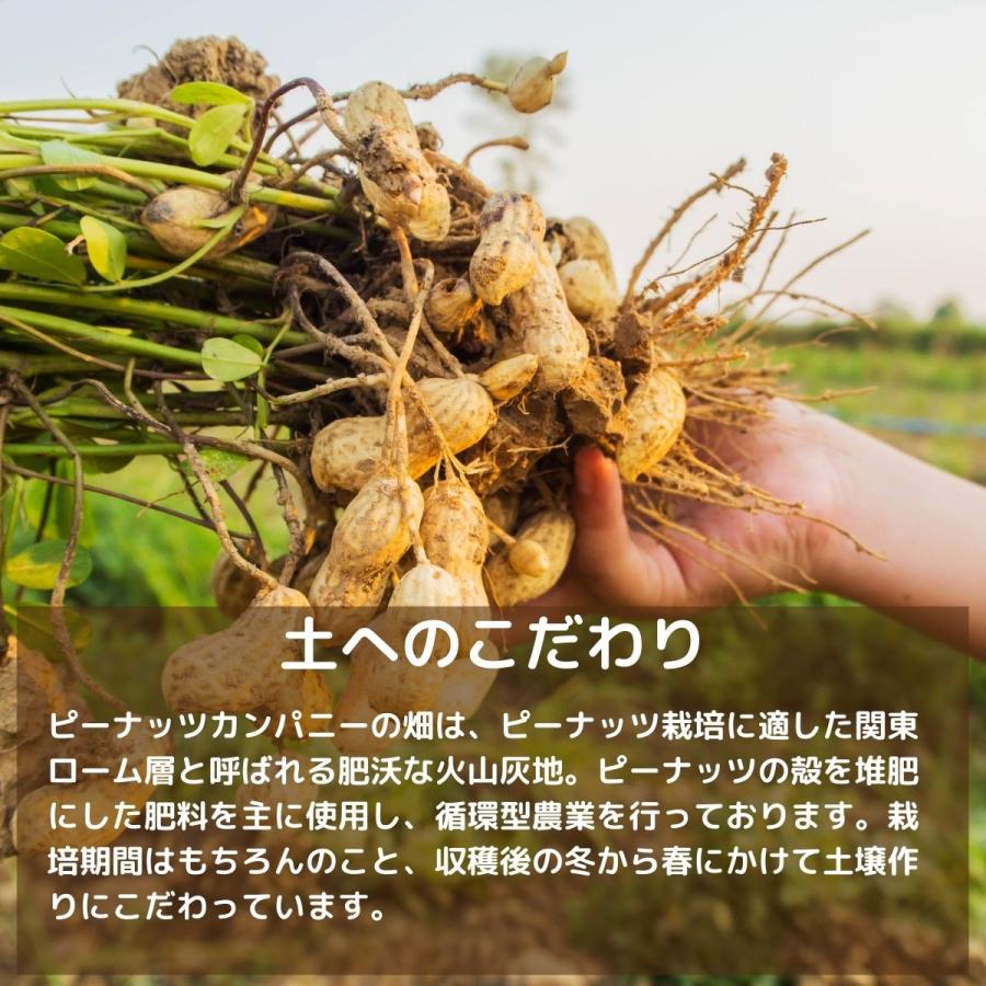 ラッカセイ 落花生 の育て方と栽培のコツやまむファーム