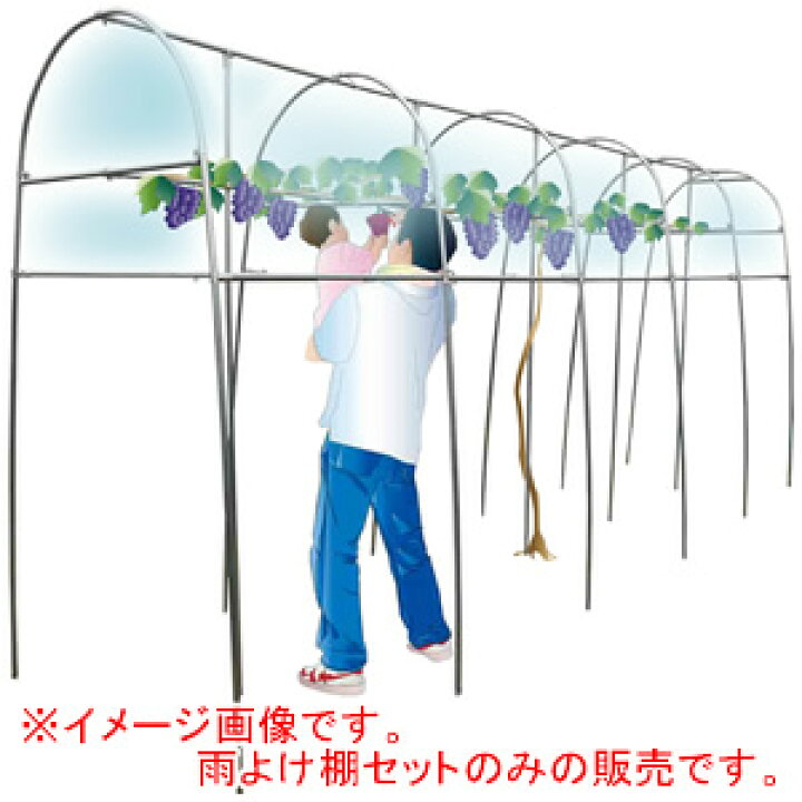 ぶどう棚のインテリア実例RoomClip ルームクリップ