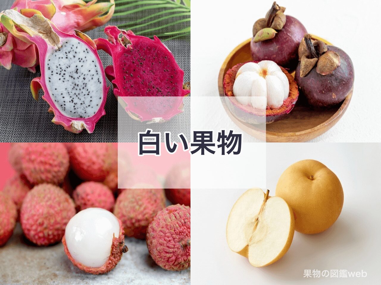 ムクロジ科のトロピカルフルーツおもしろい木の実 ムクロジ 番外編不思議で楽しい植物の世界ぷうちゃんわーるど