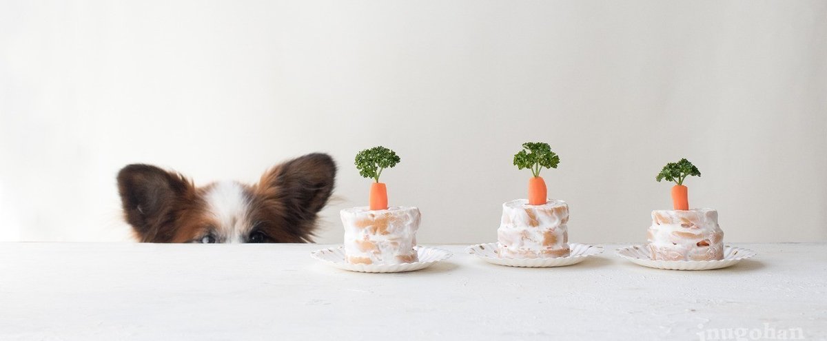 簡単!オーブン不要♡犬用スポンジケーキ