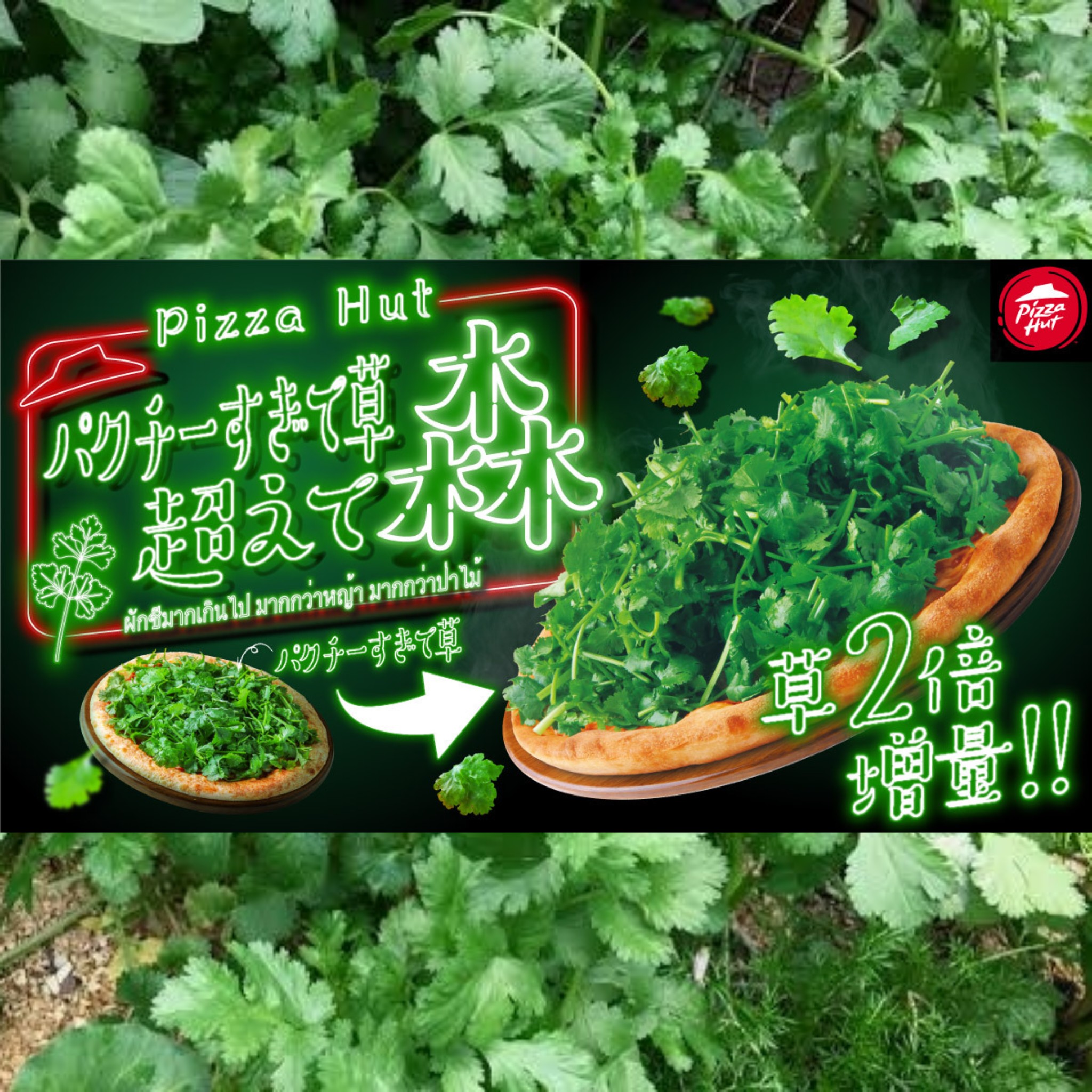 ピザハットの「パクチーすぎて草」を食べてみた → むしろ食べ終わってからこそ草が生える狂気の仕様ロケットニュース24
