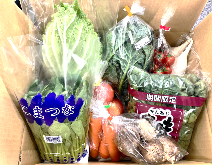 Vegebo野菜100Aギフトボックス,Vegebo ベジボ花の資材・木札関連なら Kimurahoso