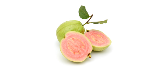 果物の品種一覧