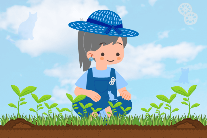 おいしいタマネギの栽培方法種から育てるなら