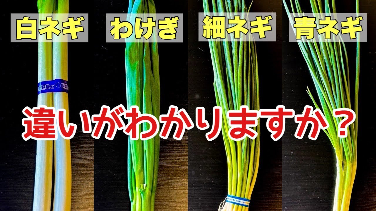 ワケネギ食材ハンターがいくとうきょうの恵みTOKYO GROWN