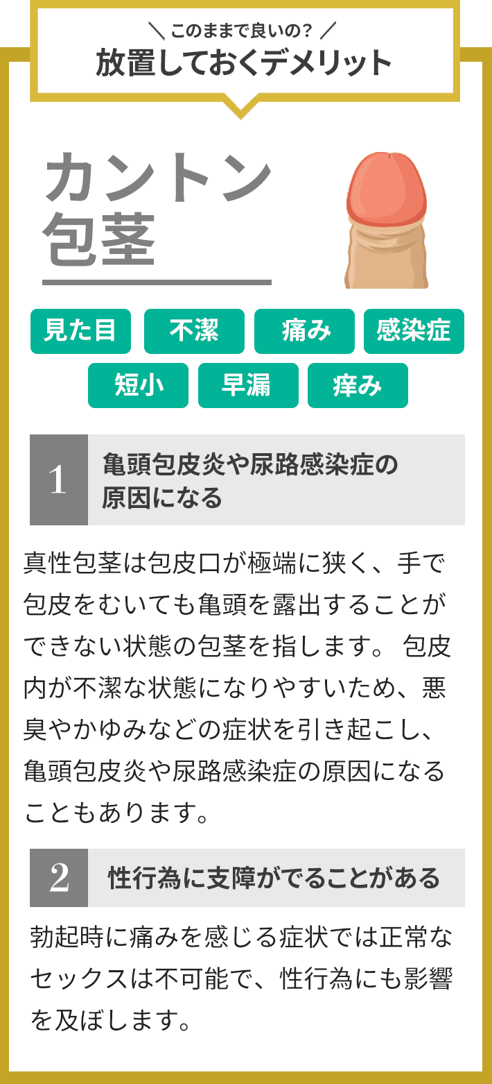 エロ漫画】包茎男子にエッチな事を仕掛ける淫乱お姉さん…戸惑う彼にお構いなしでトイレに連れこんだ彼女はフェラ抜きしたり、生ハメセックスしたりとやりたい放題する！  |