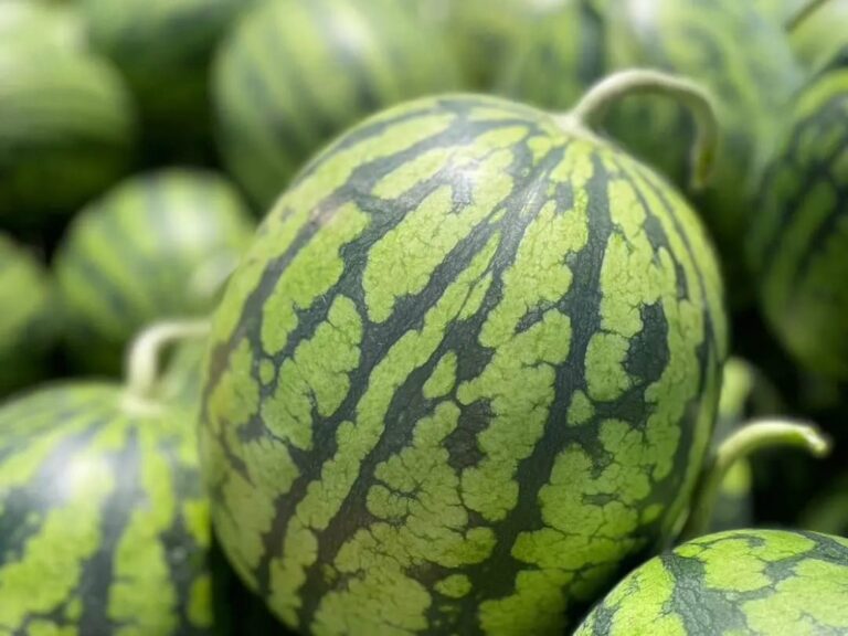 スイカ畑だったとこ - あんな話こんな話