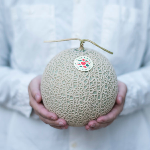 幸せの「タカミメロン」1玉 大玉フルーツ 果物 ふるラボ