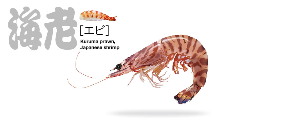 おせち料理にえびを入れる意味は?種類や簡単なレシピを紹介おせち虎ノ門コラム