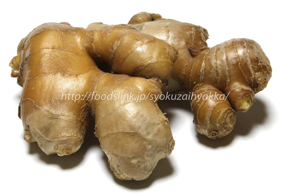 新生姜の時期や旬はいつ？新生姜の食べ方4選 – 元気な畑のごちそう便