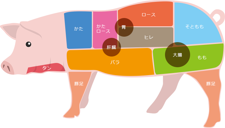 豚肉の部位の選び方・使い分け方。部位別おすすめレシピも プロが解説キッコーマンホームクッキング