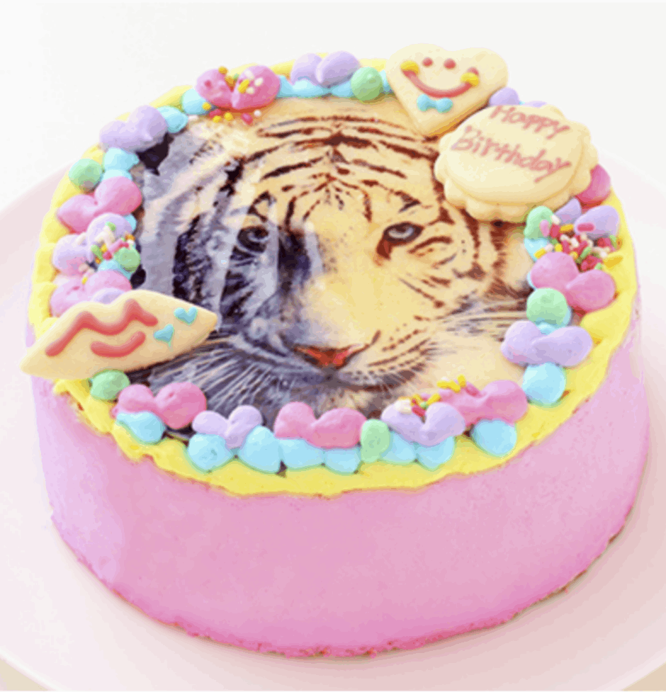 韓国のお誕生日ケーキ♡ センイルケーキ