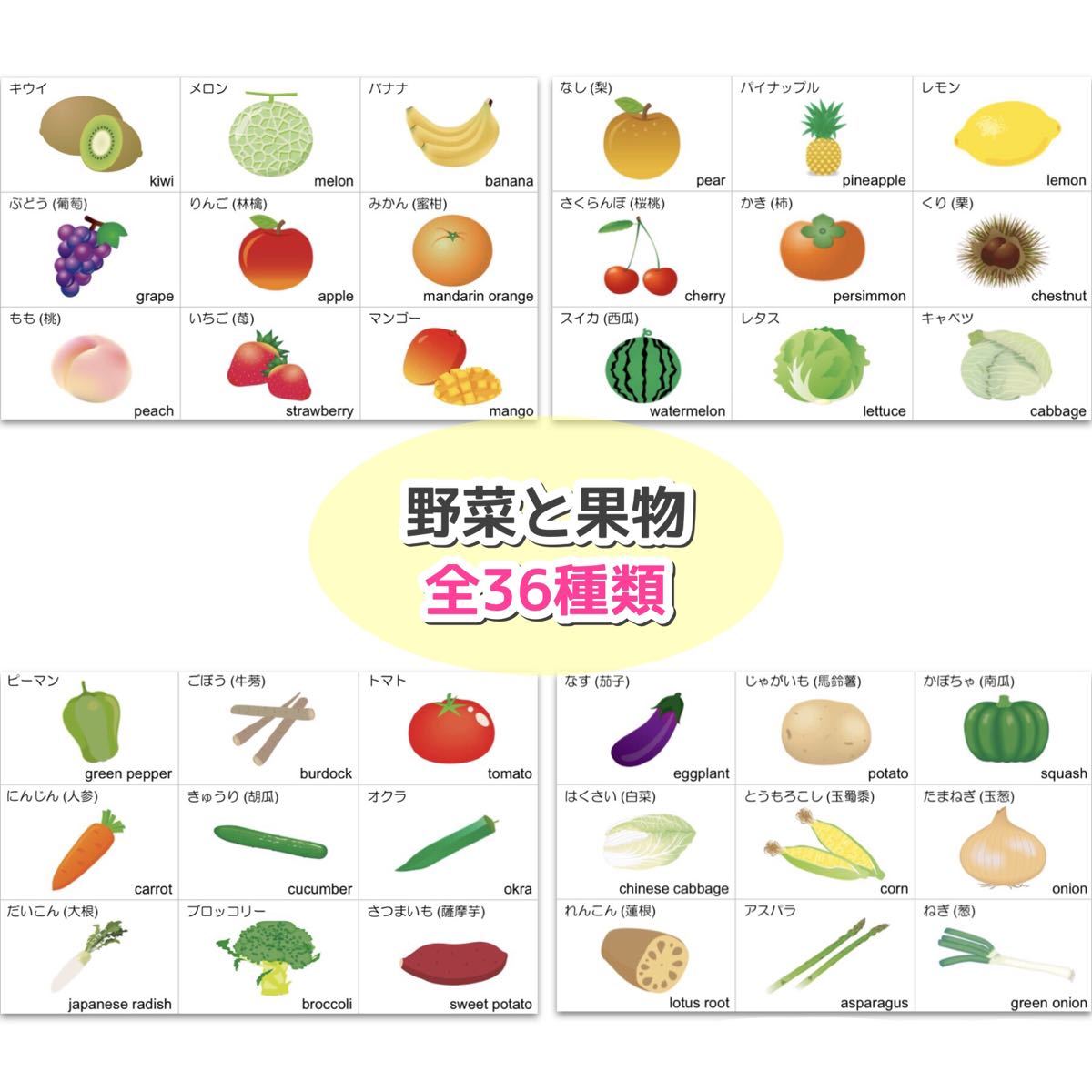 フルーツ断面 リアルイラスト無料イラスト・フリー素材なら「イラストAC」