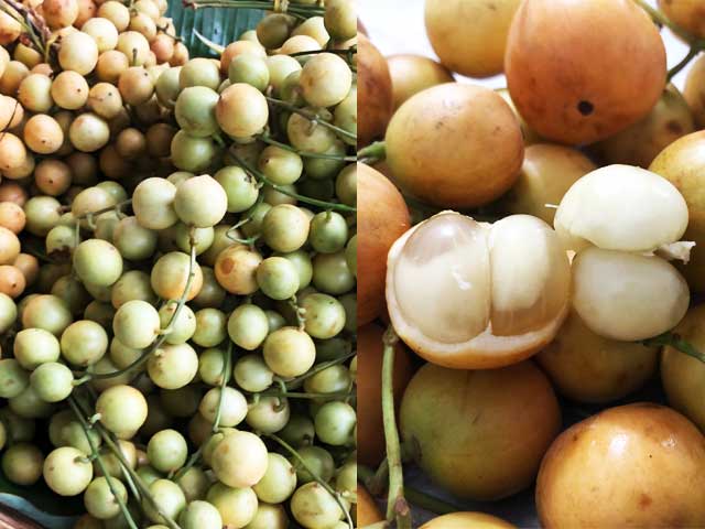 一口食べれば南国気分!?「トロピカルフルーツ」食 Do