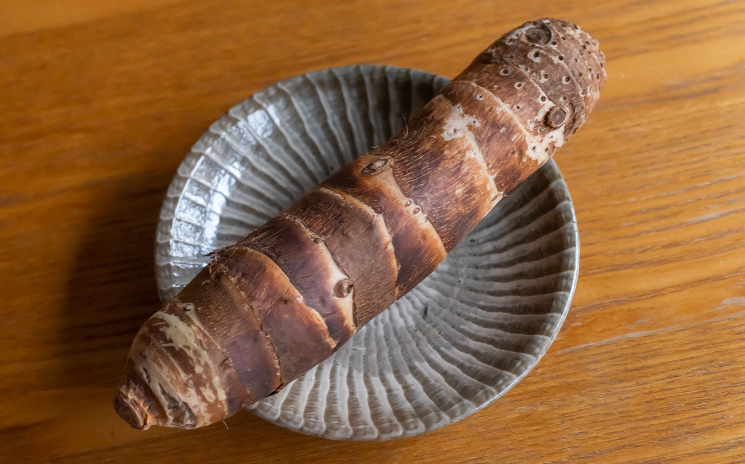 海老芋」とはどんな芋？ 里芋との違いや調理の仕方について紹介 専門家監修Domani
