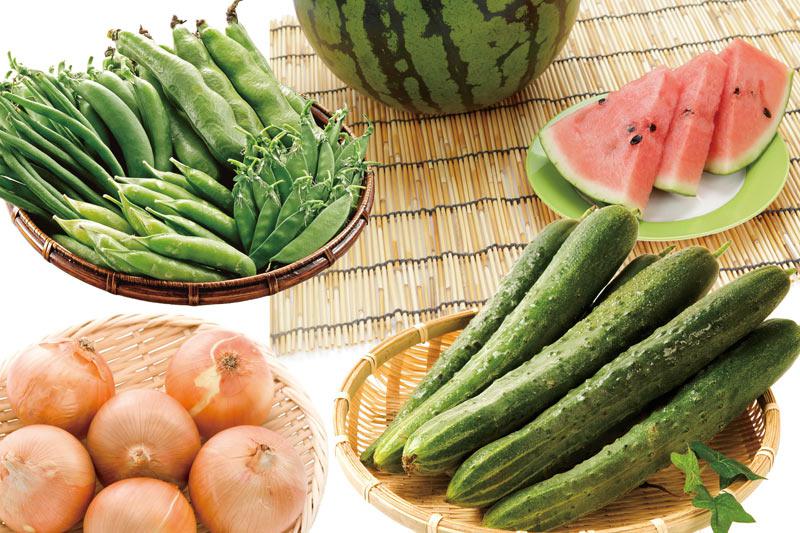 しあわせは食べて寝て待て」から学ぶ“ゆる薬膳 - 漢方ライフ- 漢方を始めると、暮らしが変わる