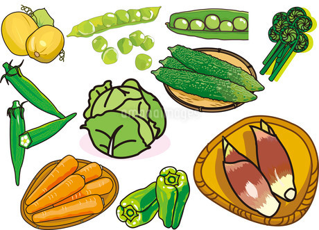 緑のりんごの模様、食べ物イラスト、JPEG」のイラスト素材 2145759233Shutterstock