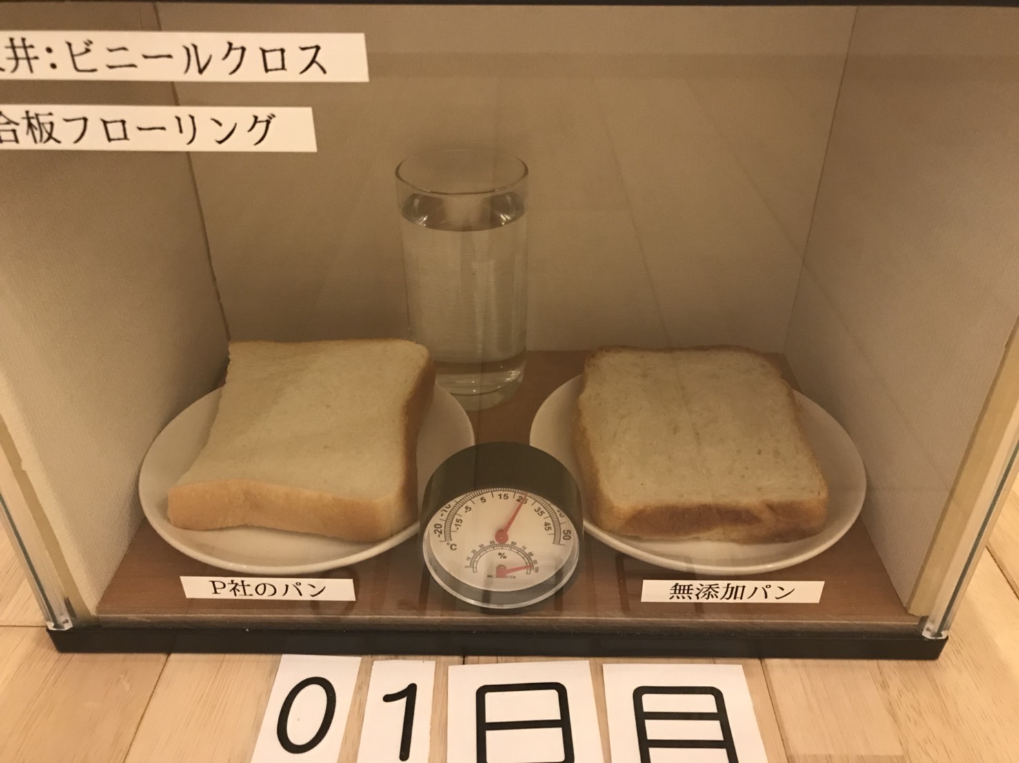 食品のカビについて食品微生物お役立ち情報株式会社 東邦微生物病研究所
