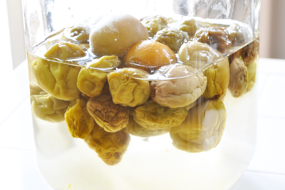 梅酒の梅の再利用方法と活用レシピもご紹介！デリッシュキッチン