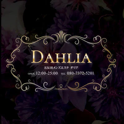 DAHLIA 目黒・五反田店 | 五反田・品川