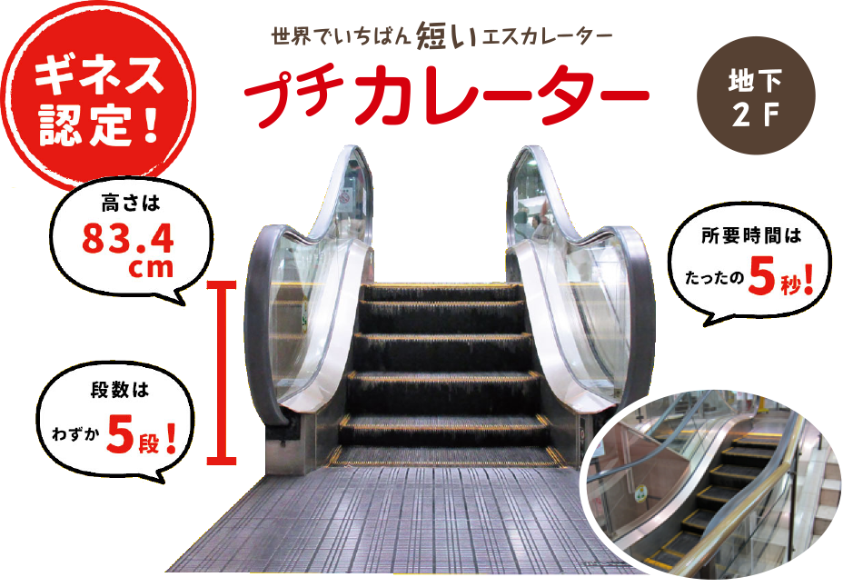 プチカレーター川崎モアーズ