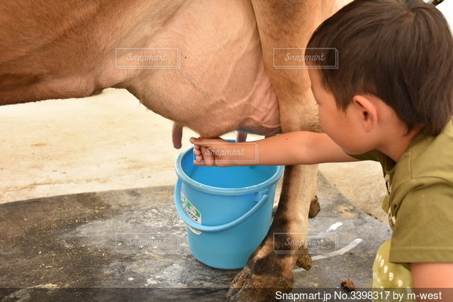 県北搾り」 成分無調整牛乳 生乳100% 1L×2本 200ml×4本 合計6本セット広島県北広島町ふるさと納税サイト「さとふる」